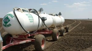 green ammonia