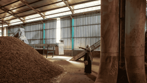wood pellet production in Indonesia